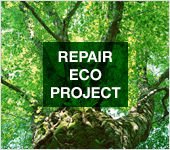 REPAIR ECO PROJECT