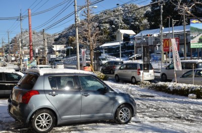 一夜明けて・・・その雪は？(>_