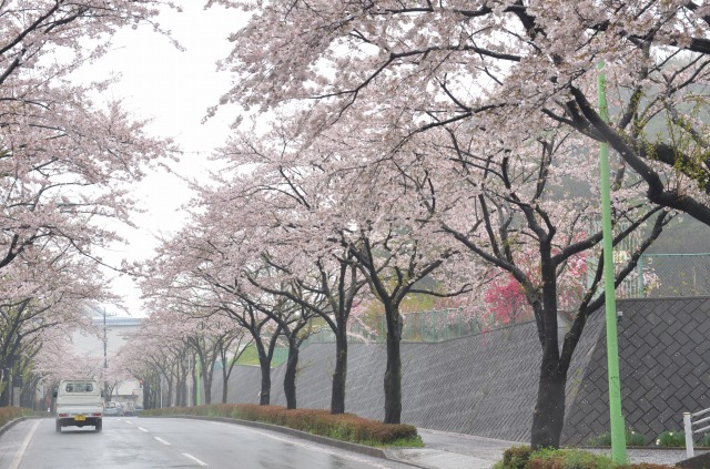 ４月！それぞれのスタート地点！！