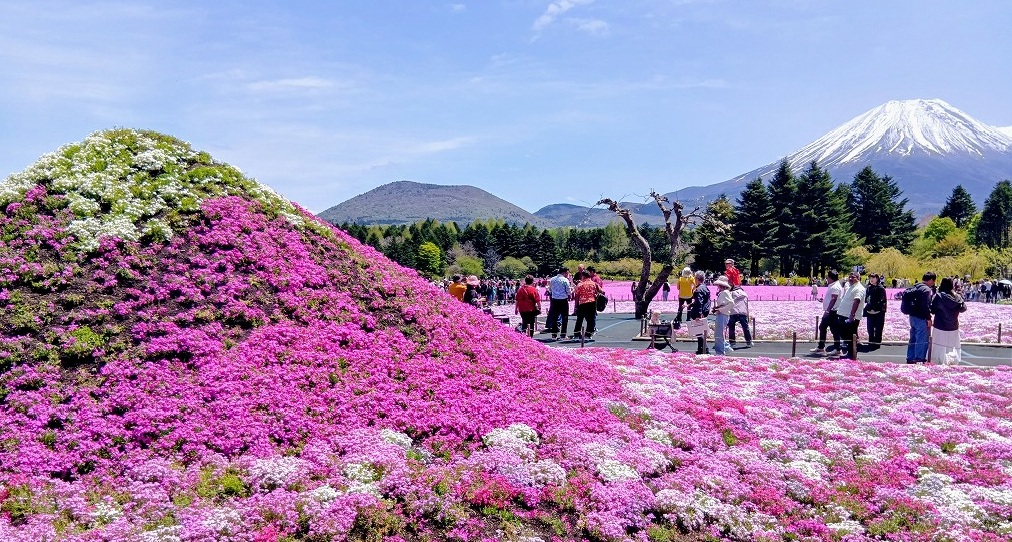 日差しを避けて・・・へこみをチェック！